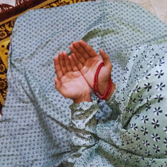 Namaz Chaddar With Sleeves - Pistachio